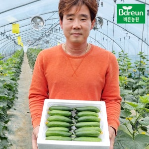 [직접생산 당일수확 산지직송]양주 바른농원 수분가득 스낵 미니오이 4KG