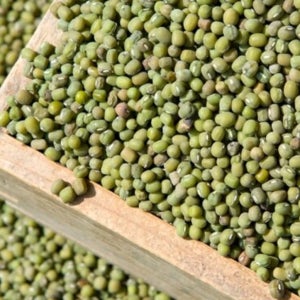 24년산 햇 국산 녹두 1kg