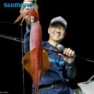 시마노 25 세피아 리미티드 메탈 슷테 F-B63M-S 한치 선상낚시 윤성보증