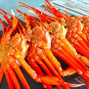 제철 박달홍게 대게 3kg 5kg 연지 자숙 붉은 포항 구룡포