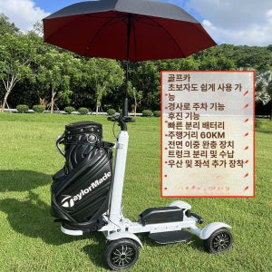 4륜 골프장 전동킥보드 골프백 필드 골프카 화이트 48V 20AH