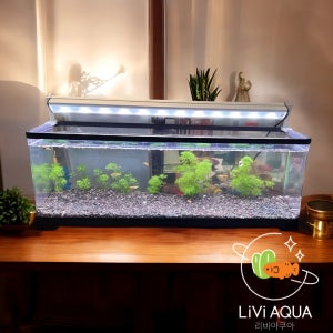 리비아쿠아 안깨지는 어항 2자 거북이 60 와이드슬림 가벼운 아크릴 구피 금붕어 수족관