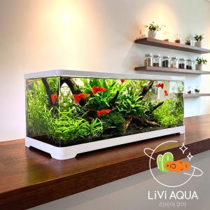리비아쿠아 안깨지는 어항 2자 거북이 60 와이드슬림 가벼운 아크릴 구피 금붕어 수족관