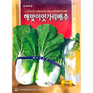 엇갈이 얼갈이 씨앗 단배추종자 해맞이 엇가리배추 40g MR