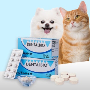 덴탈바이오 강아지 입냄새제거 구강 잇몸 영양제