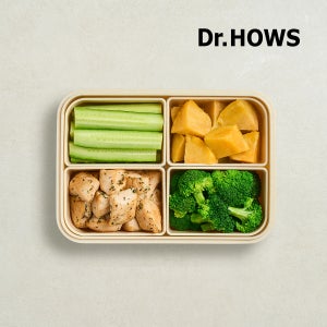 닥터하우스 오래 신선 항균 밀폐용기 도시락통 나눔 1500ml 2개