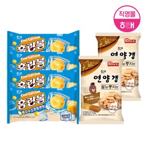 해태 홈런볼 (46g X 4개) + 연양갱 (500g X 2개)