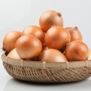 양파 10kg 특 국산 소 중 대