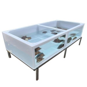 수조 아크릴 대형 수산시장 수족관 반수생 사육장 잉어 열대어