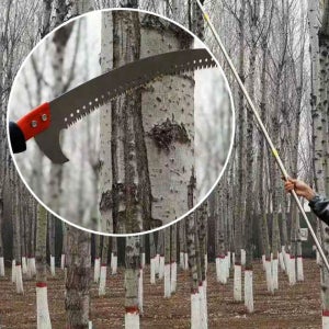 장대 전지톱 5M 긴 톱 나무 위 고지톱 높은곳 가지치기 조경 정원 관리 원예 용품 목공용