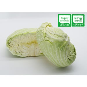 [홍성유기농] 2025년 국내산 친환경 무농약 양배추