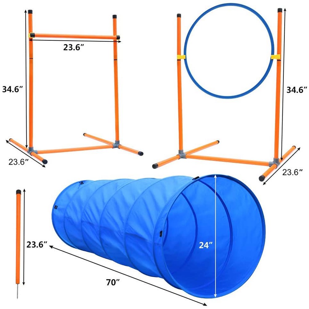 개 훈련 학원 (Dog Training Classes)