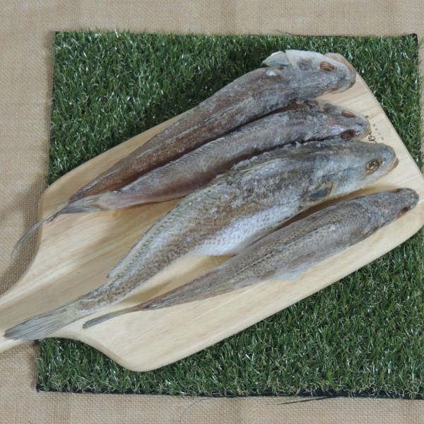 삼천포 용궁수산시장 반건조 민어조기반찬용 3~4미