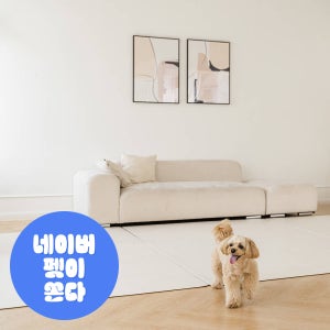 리포소펫 강아지 미끄럼방지 프랩 매트 롤링 1400x3000 애견 반려견 방수