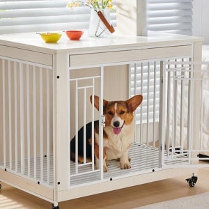 강아리 울타리 대형견집 펜스 사육장 철망 소형견 실내 개집