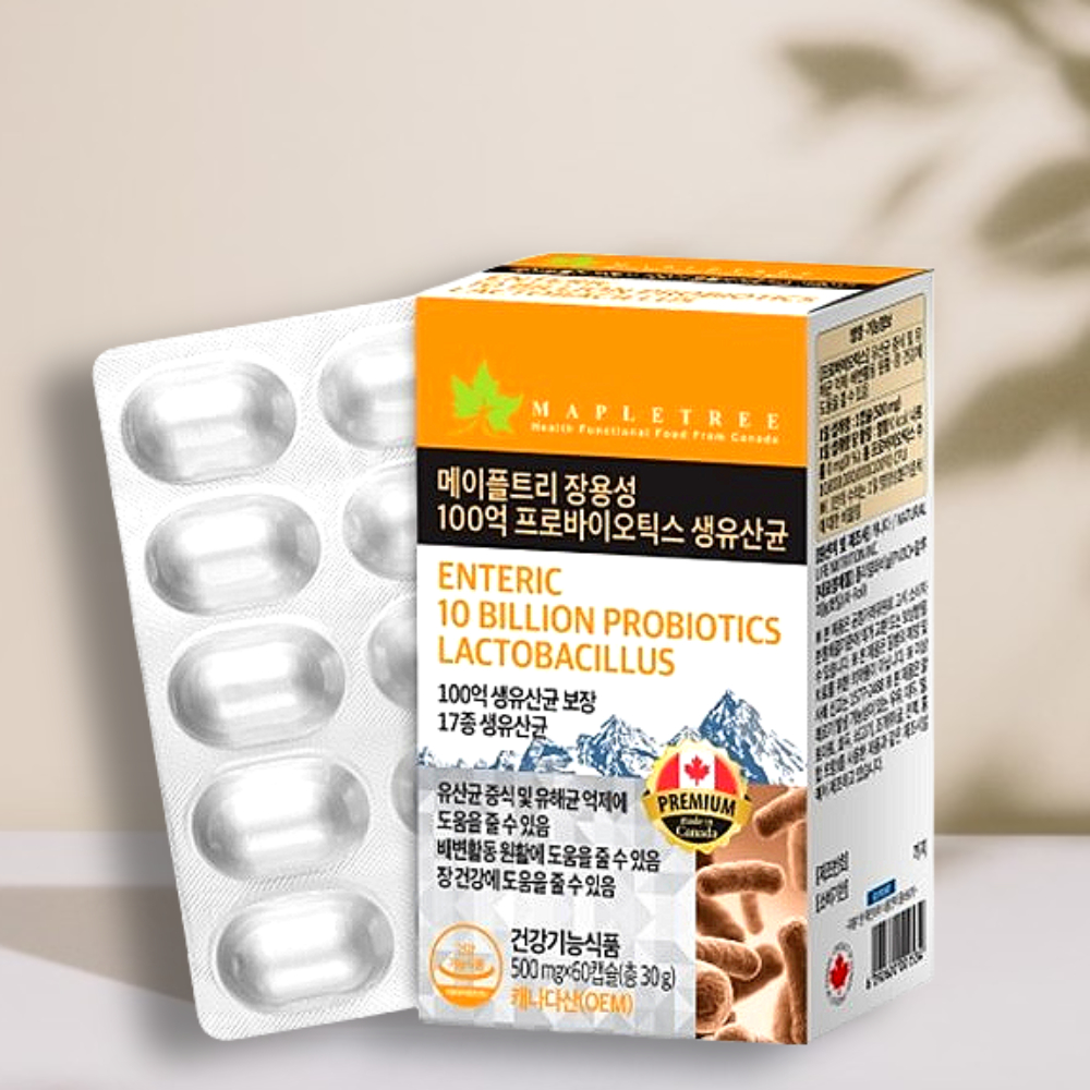 비피더스유산균 변비에좋은유산균 상온고함량보관 60캡슐, 1개