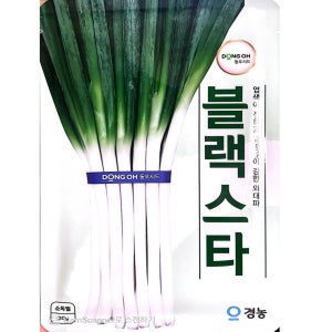 대파씨앗 블랙스타 20g 동오시드 외대파종자