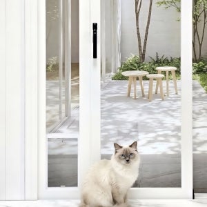 댕냥이펫도어 베란다 펫도어 기본형 강아지 고양이 방묘문 견문 냄새차단 안전문