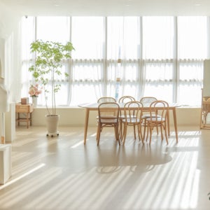 1호점 자연광 촬영 스튜디오 송파 위례 성남 제품 만삭 프로필 유튜브 애견동반 대형파티룸