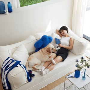 모던홈즈 몽글 3인 방수 패브릭 압축 소파