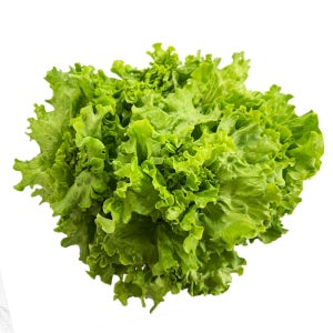 야채이야기 카이피라 상추 단품 2kg 농장직송 유러피안 샐러드채소