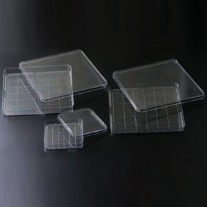 SPL Square Dish 에스피엘 스퀘어 디쉬 사각배양접시 240/CS / 11125