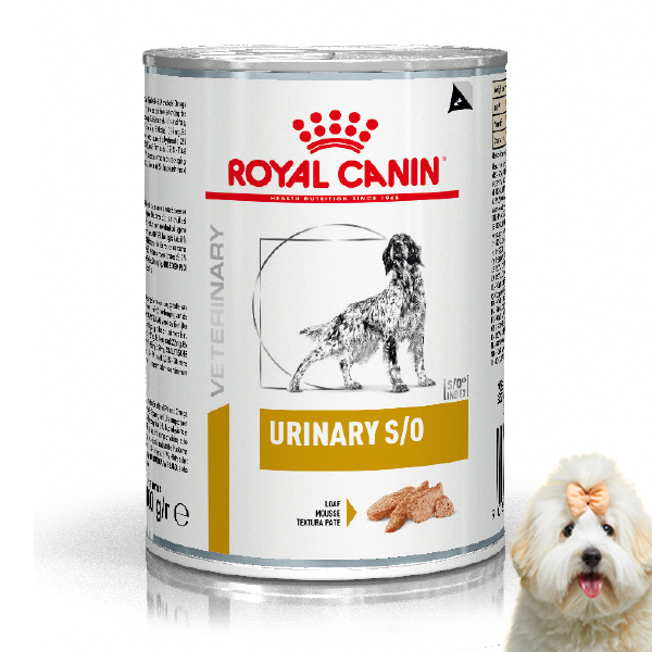 로얄캐닌 강아지 처방 습식 캔 유리너리 S/O, 410g, 1개