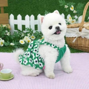 패리스독 알로하 펌킨 드레스 그린(s,m,l,xl)