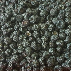25년 고창 복분자 5kg