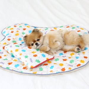 이츠독 강아지 고양이 매트 인견쿨링매트 (젤리곰)