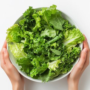유러피안샐러드 유럽채소 500g 1kg 샐러드야채 쌈채소 버터헤드
