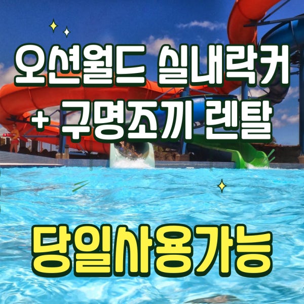 오션월드 입장권 할인티켓 [당일] 가능 주중 대소기준 주말 구명조끼 선택 가능홍천 비발디파크
