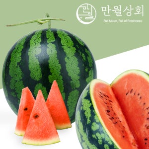 산지직송 고당도 꿀수박 프리미엄 선물용 연중생산