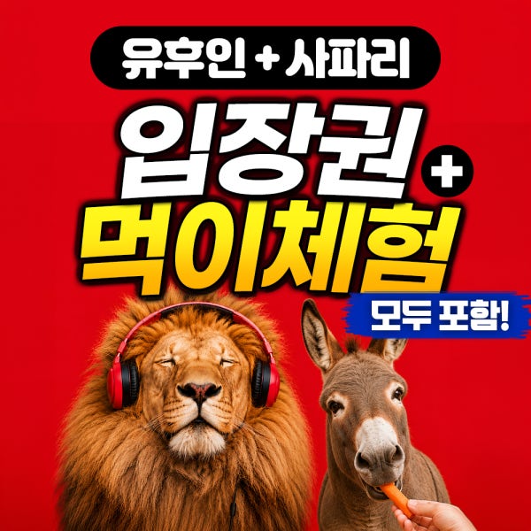 [입장료 포함] 벳푸 아프리칸 사파리 후쿠오카 유후인버스투어 일일 현지 소소