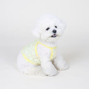 [국내제작] 플라워 시스루 크롭 나시 2종 반짝반짝 스팽글 강아지 고양이 반려동물 여름 옷