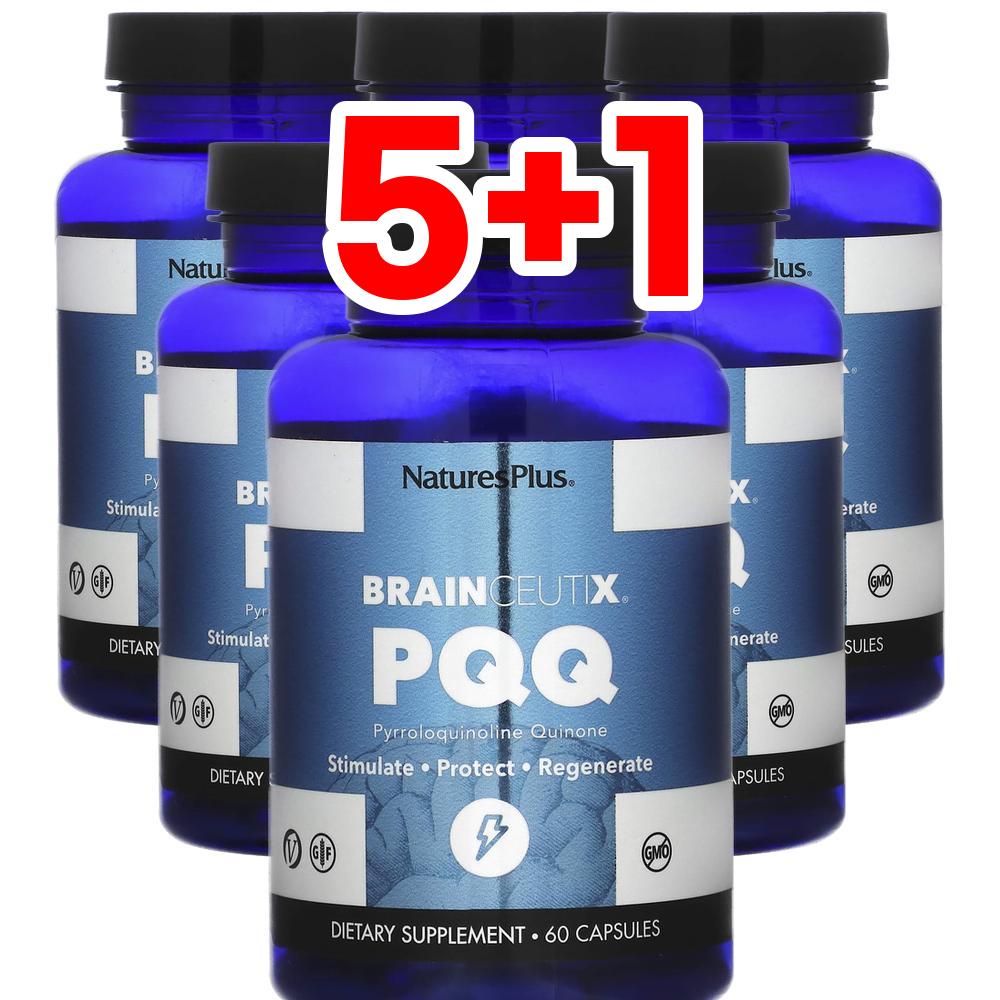 [5+1] 네이처스플러스 브레인Ceutix PQQ 60정