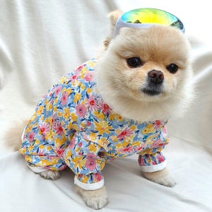 강아지옷 여름 올인원 인견 등단추 애견 편안한 조끼 실내복 올리비아 XS