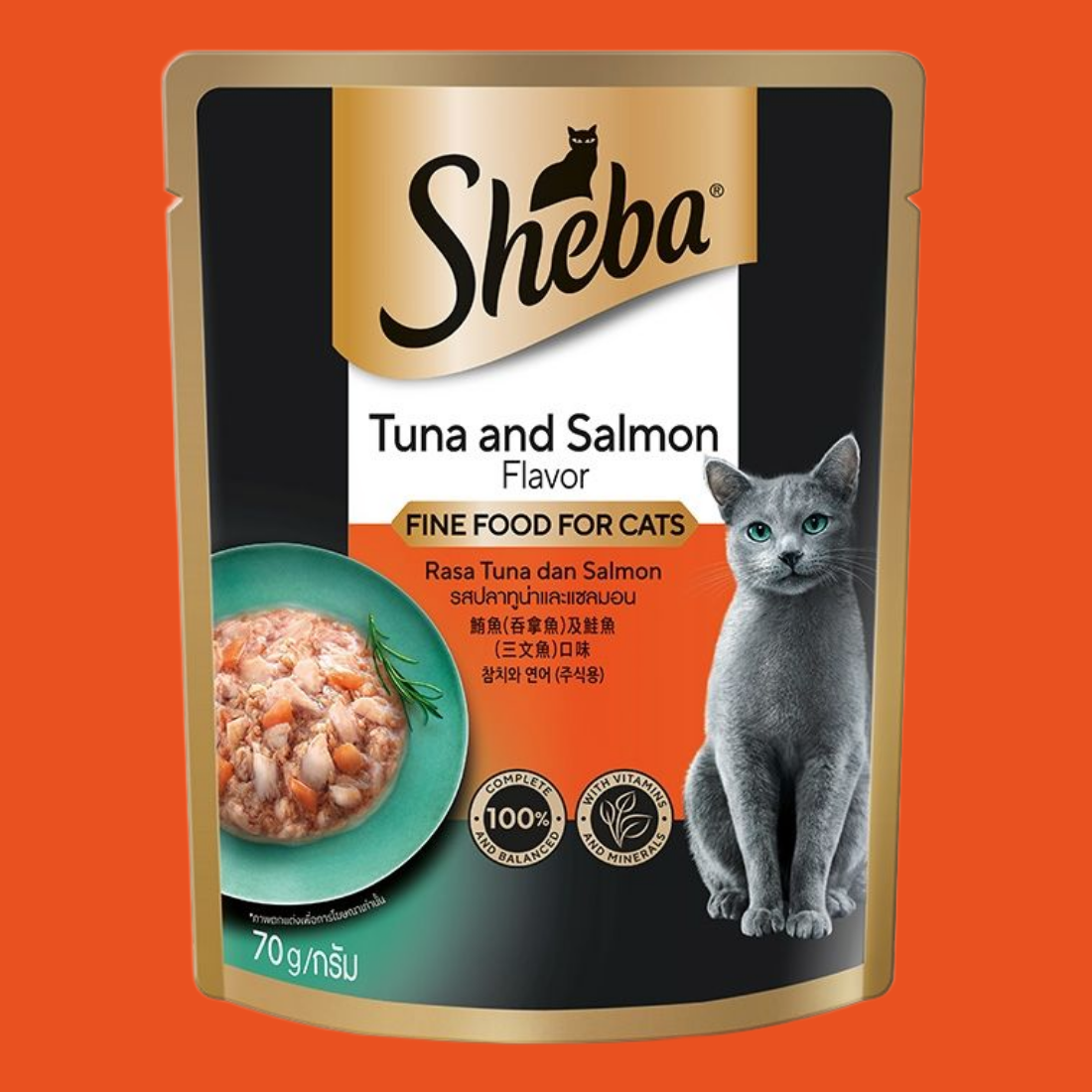 쉬바 파우치 고양이 주식 습식사료 참치+연어, 70g, 1개