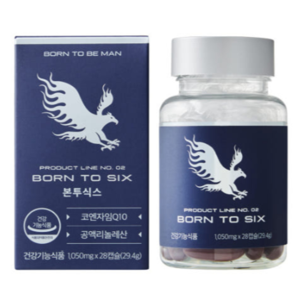 본투식스
