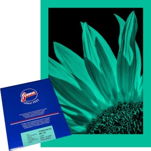 포마 파스텔 흑백인화지 MGFB 181 사이안 8X10 (10장) Fomapastel MG