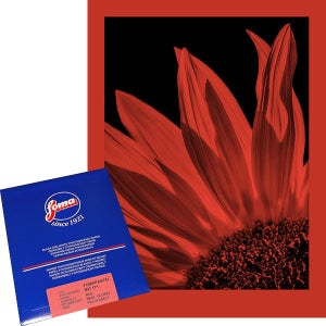 포마 파스텔 흑백인화지 MGFB 171 레드 8X10 (10장) Fomapastel MG