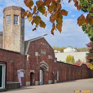 [실내] 함께 보는 서대문형무소와 대한민국임시정부기념관 도슨트 투어