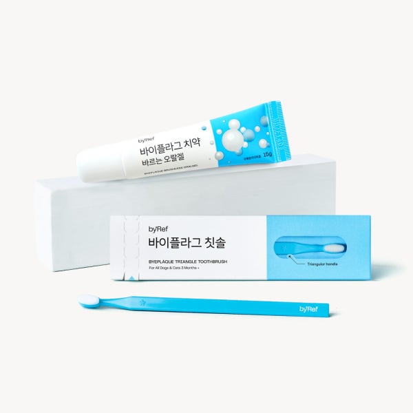 [첫 구매 4,500원] (베이직 케어 SET) 바이플라그 설채현 치약 소용량 + 삼각 칫솔