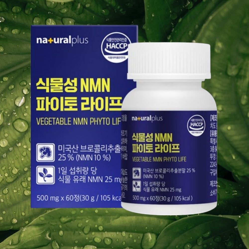 식물성 엔엠엔 nmn 파이토 60정 엔앰엔 NMN효능 <b>항노화</b> nad 브로콜리추출분말