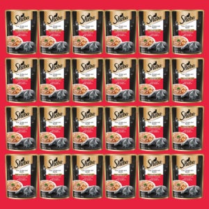 쉬바 파우치 고양이 주식 습식사료 참치+닭고기, 70g, 24개