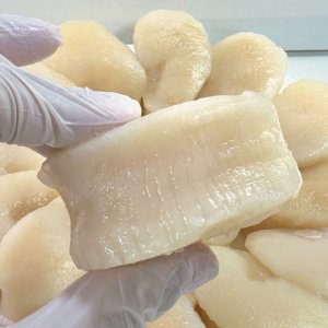 키조개 관자 10kg 자연산 원물 대용량 업소용 고급형 개아지살 벌크 식자재 조개구이 바른유통