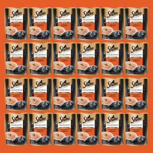 쉬바 파우치 고양이 주식 습식사료 참치+연어, 70g, 24개