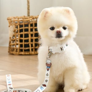 누우띠 셰프딜라이트 미피 패밀리 목줄 강아지산책용품