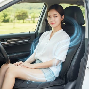 (온도 급하강) 3D 입체 자동차 쿨시트 바람방석 차량용 쿨링 통풍시트 여름
