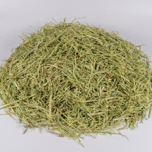 손질 티모시 건초 캐나다산 1번초 500g 1kg